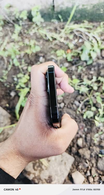 13 pro max read full add