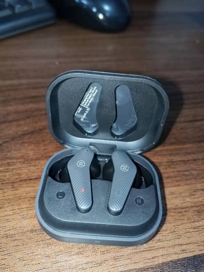Zero Gravity Earbuds