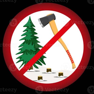 trees cutting and gardening