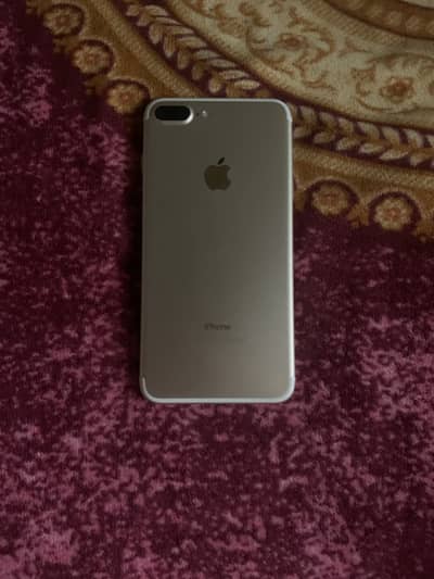 Chat WhatsApp 03136672871