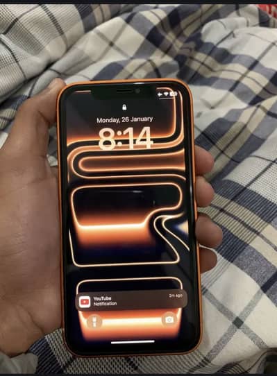 WhatsApp 03136672871