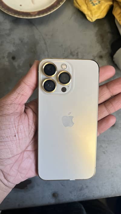 iPhone 13 Pro 256 GB
