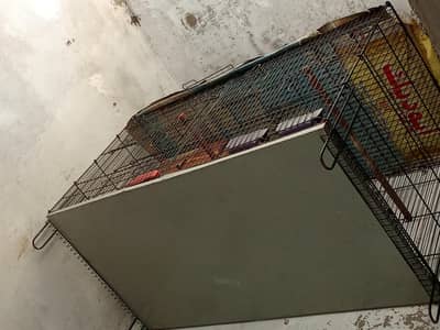 folding cage for sale