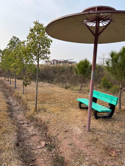 All Dues Clear Plot File In Sector E