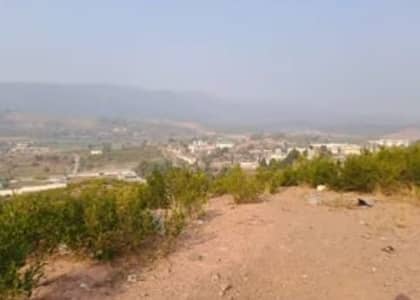 Budget-Friendly 5,000 Sq Yd Possession-Ready Farm In Sector C