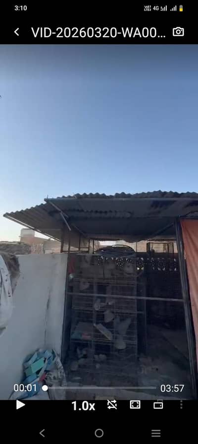 master cage for sale complete iron