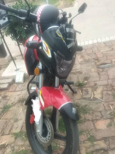 Availability at Whatsapp ()