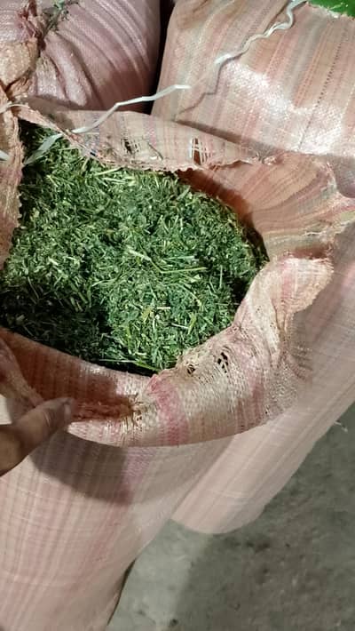 Alpha Alpha Dry lotion