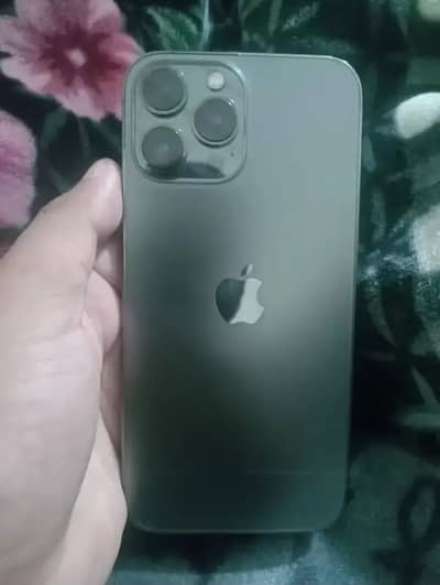 Apple iPhone 13 Pro Max