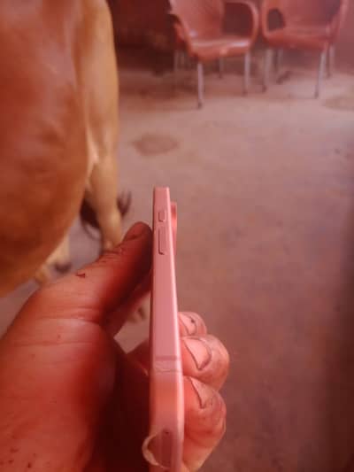 Google pixel 9 PTA approved 03150262098