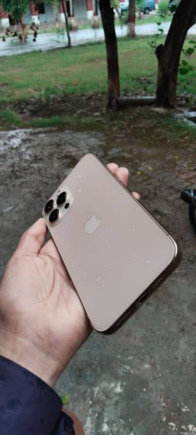 12 pro max Non PTA lush condition