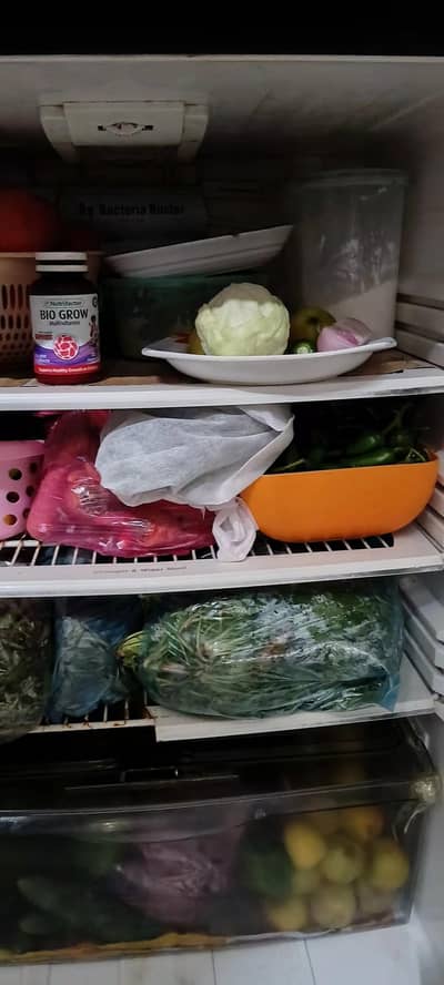 PEL FRIDGE DOUBLE DOOR