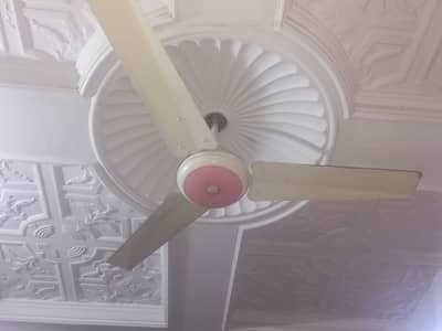 Celing Fans SONEX/INDUS
