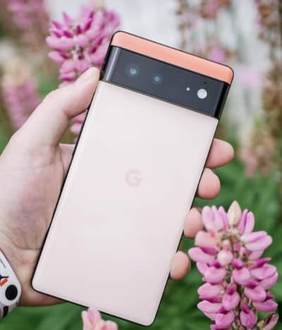 google pixel 6 PTA Approved