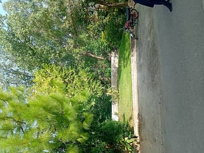 Beautiful Location Plot For Sale in G-14/3