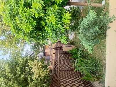 Beautiful Ground Portion Rent in F-11/3