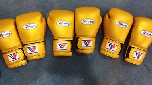 boxing gloves winning model for selling # cobHill industry DM order