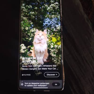 Infinix hot 50 pro plus