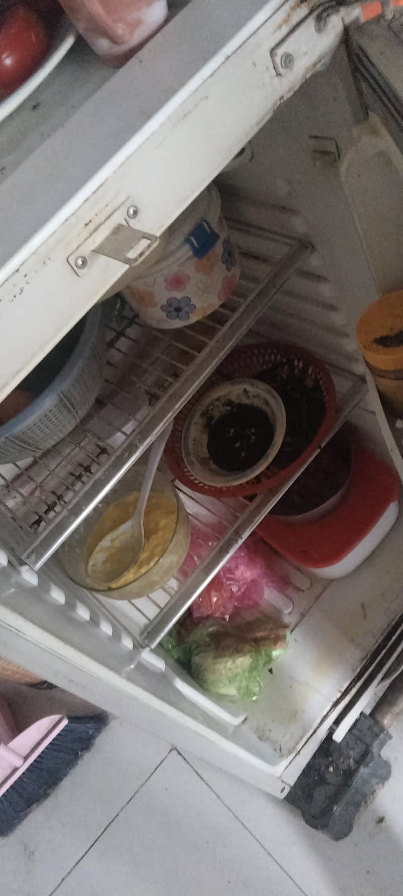 orient fridge medium 1