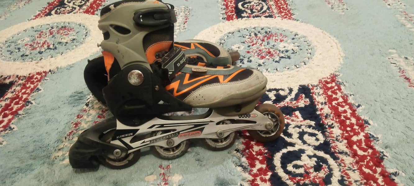skates 5