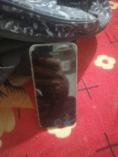 only casting camera mic speaker