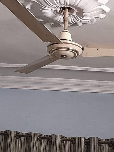 3 branded fans very cheap price