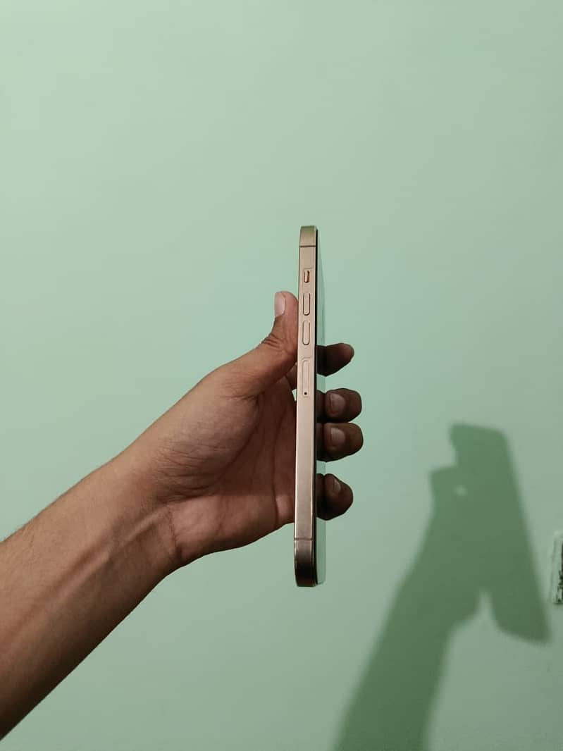 IPHONE 13 PRO MAX GOLDEN COLOUR 1