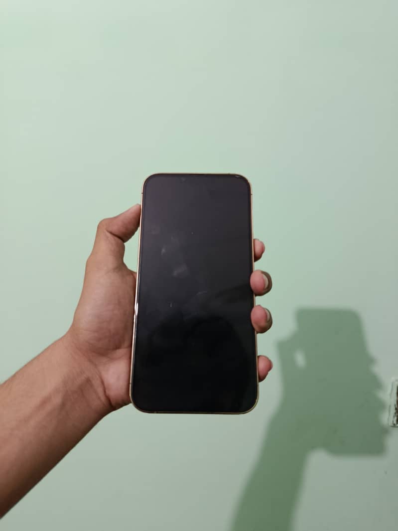 IPHONE 13 PRO MAX GOLDEN COLOUR 2