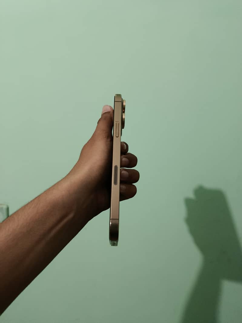 IPHONE 13 PRO MAX GOLDEN COLOUR 3