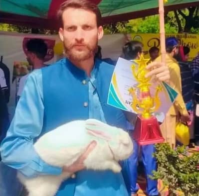 Rare Beauty New Zealand white rabbit limited stock 03052106104