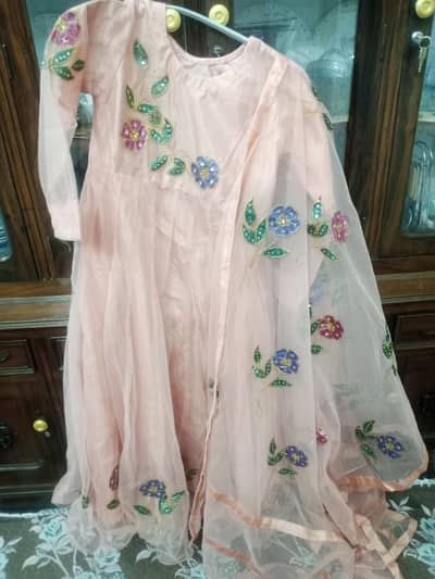 painted frock with hand work
