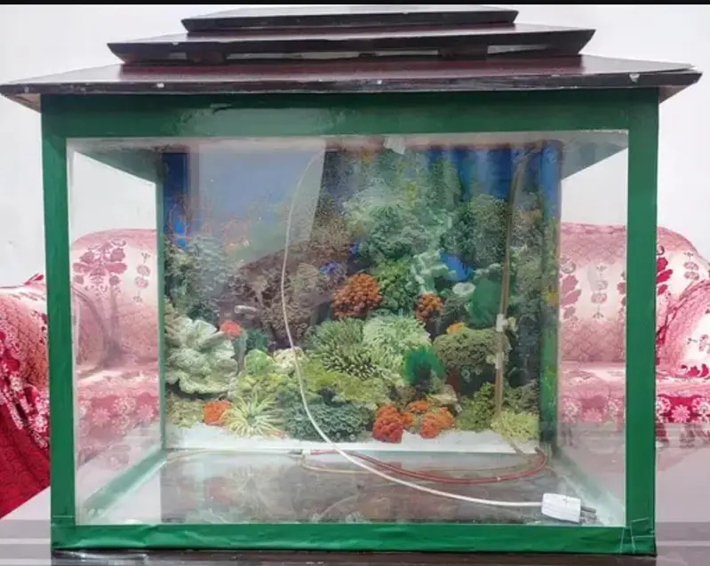 Fish Aquarium