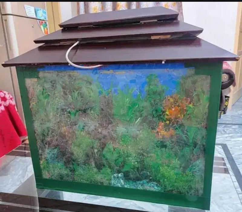 Fish Aquarium — photo 2