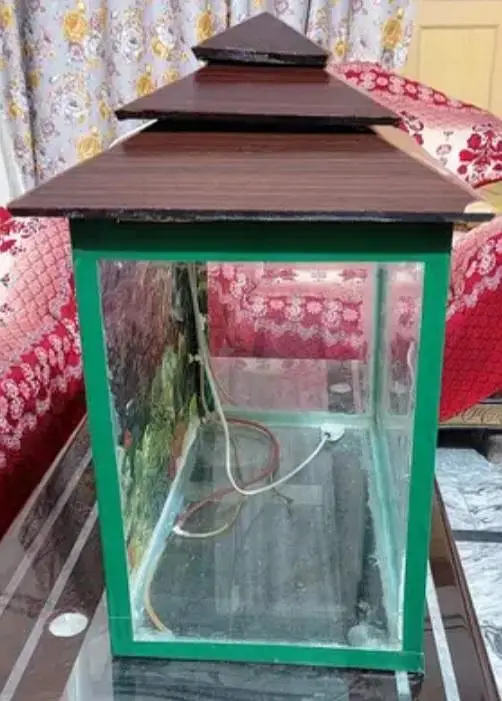 Fish Aquarium — photo 4