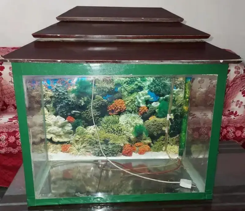 Fish Aquarium — photo 5