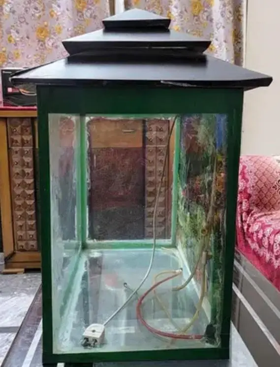 Fish Aquarium — photo 6
