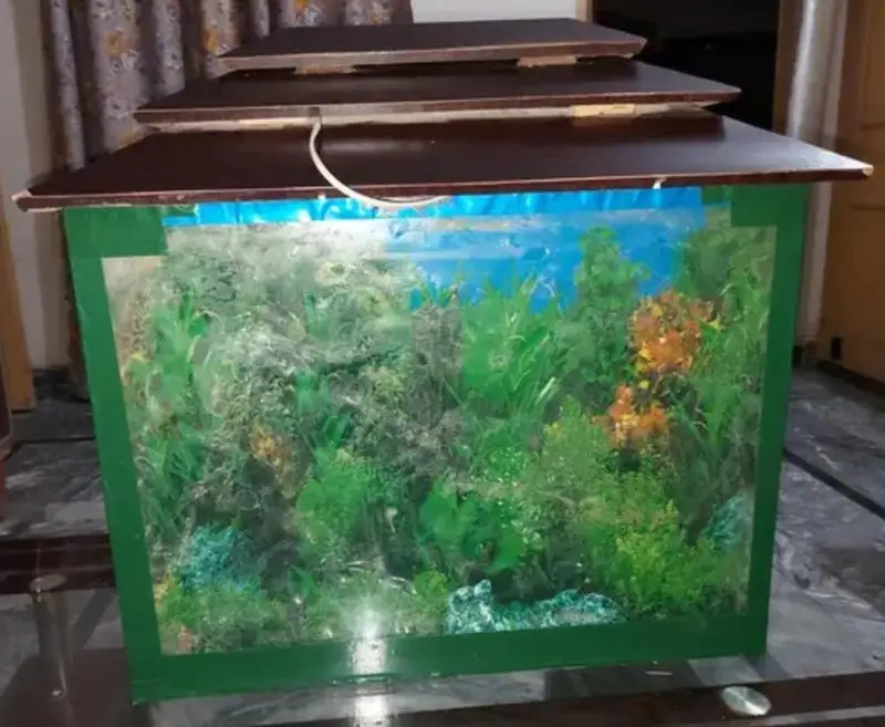 Fish Aquarium — photo 7