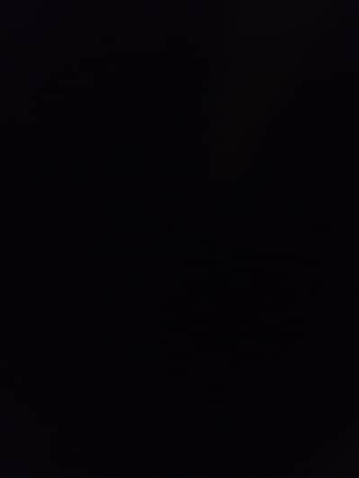 beautiful milking goat