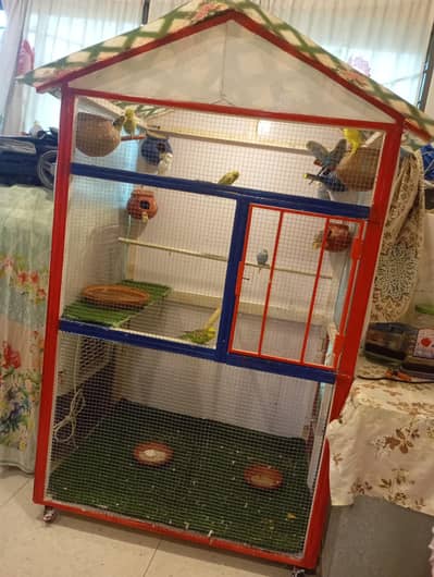 parrots with cage