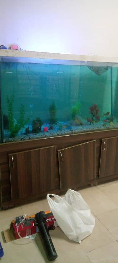 fish Aquarium wash and installation