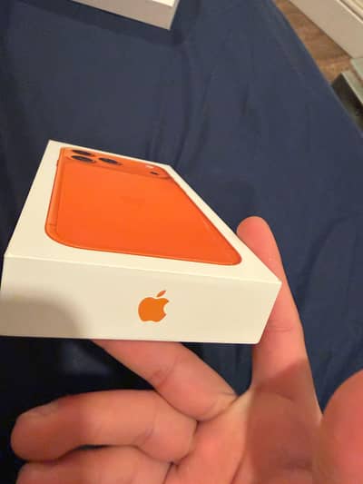 17 pro max 256 GB