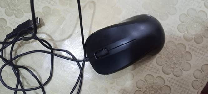 mouse with wire