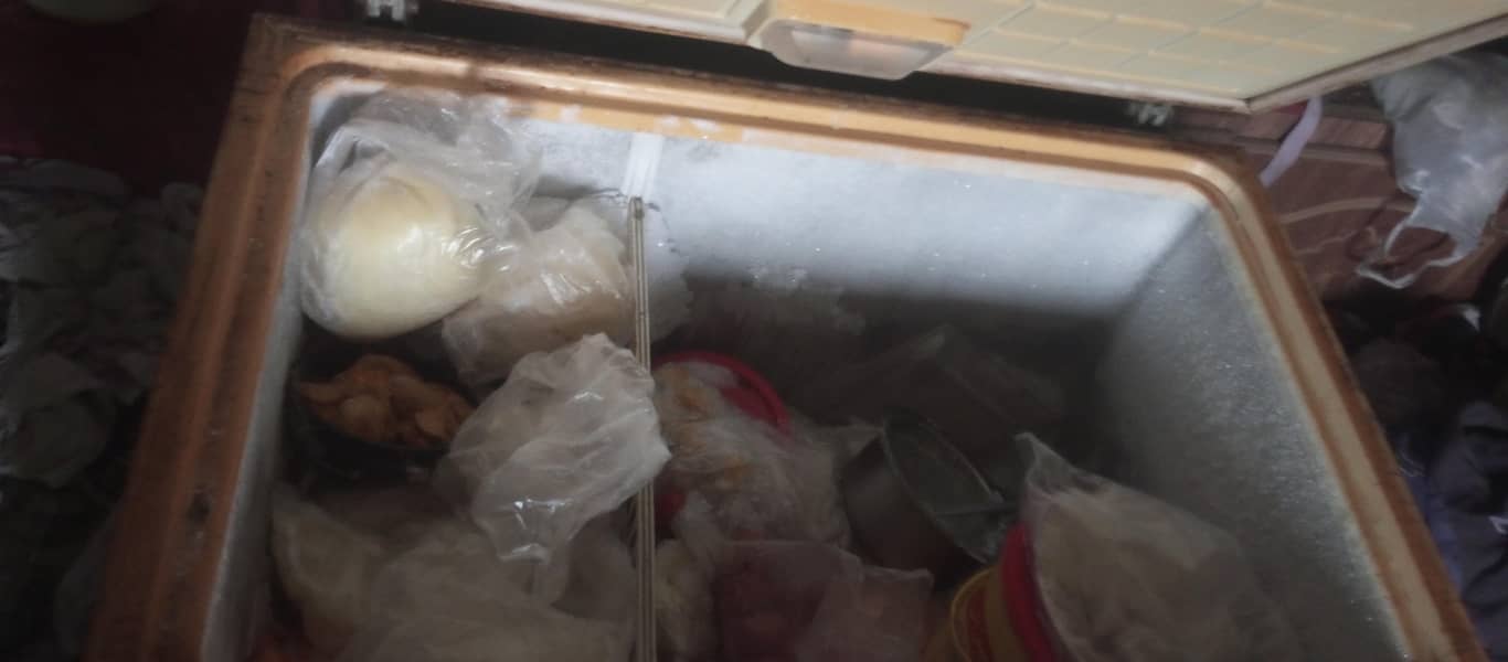 deep freezer 2