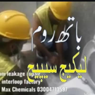 Bathroom Leakage Seepage,  Roof Waterproofing, Roof Heat proofing