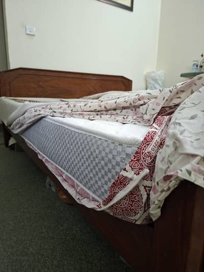 Diamond Spine Supreme