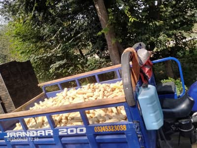 sazgar lodar rickshaw 200cc  call 03018797128