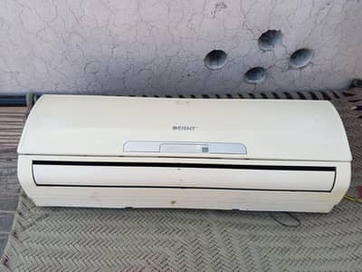 totel jenion Han gase stor hy. .