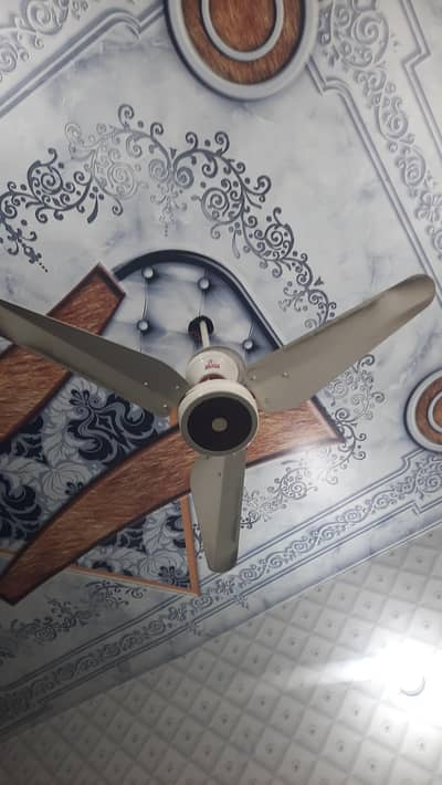 arik indus lahor fan