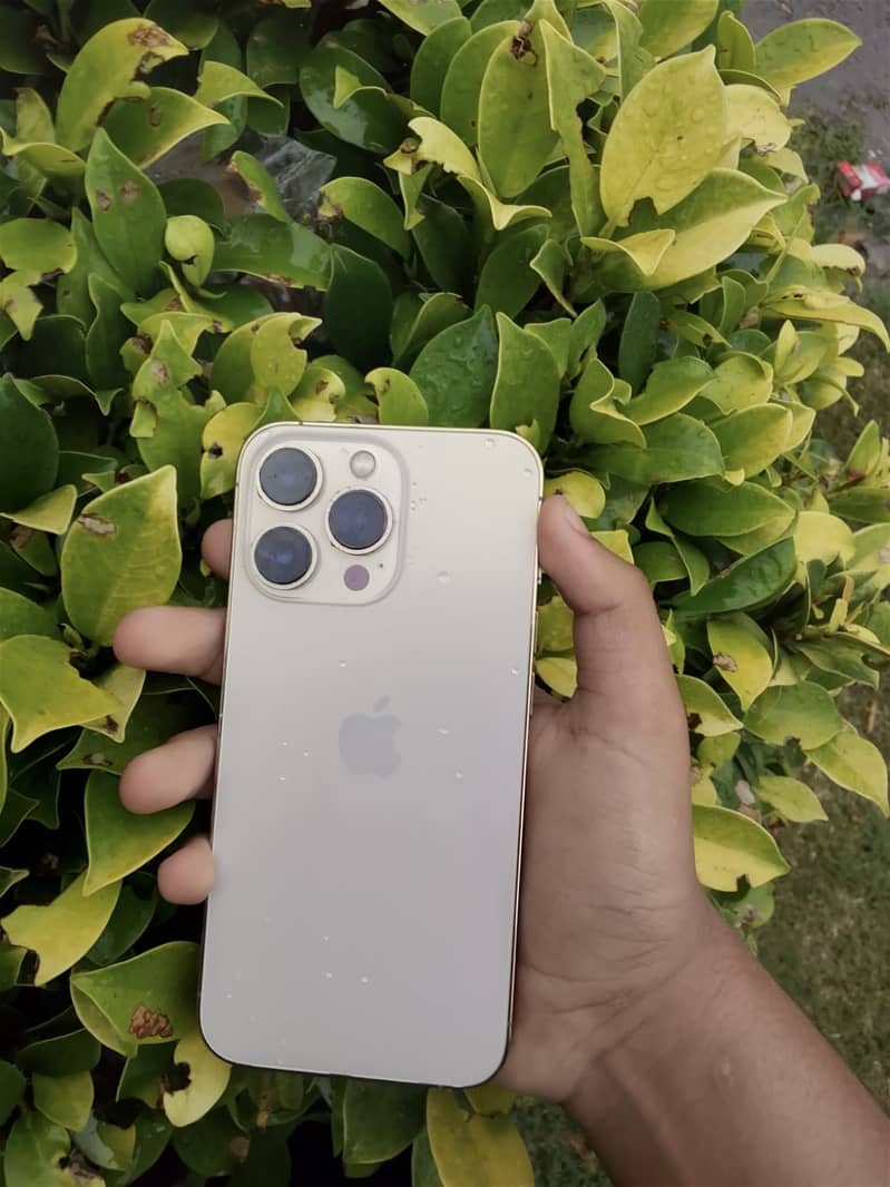 Iphone 13 pro 0