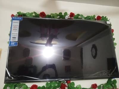 eco star 55inch brand new. 03024499500